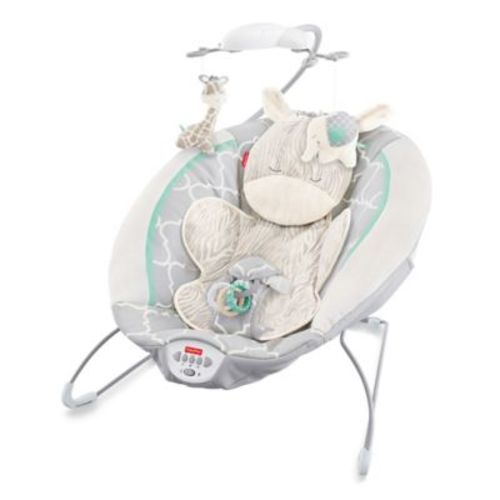 Fisher-Price® Deluxe Bouncer in Safari Dreams - MULTI - BOUNCER