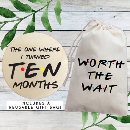Friends Baby Shower Gift - Monthly Milestone Picture Wood Circles - Funny Baby Gift for Friends - Baby's 1st Year Set of 12 Photo Prop Signs
