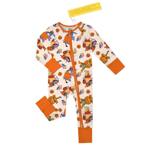 Pooh Bear Pumpkins Zippy