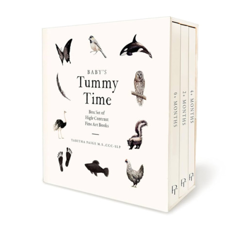 Baby's Tummy Time Book Box Set: A 3-Book Box Set of High-Contrast Art for Visual Stimulation at Tummy Time (Our Little Adventures Series)