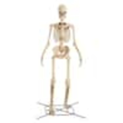Home Accents Holiday 12 ft. Grave & Bones Giant-Sized Skelly with LifeEyes™ LCD Eyes H5 24SV24386