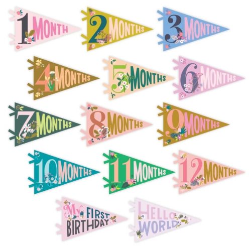Lucy Darling Petit Milestone Pennants – Baby Monthly Milestone Pennant Flags – Newborn Photo Props & Felt Nursery Decor – Keepsake Banner Set for Baby Photos – Little Artist
