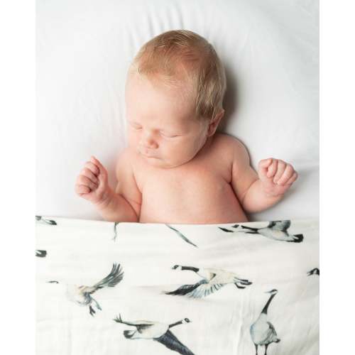 Canada Goose - Swaddle
