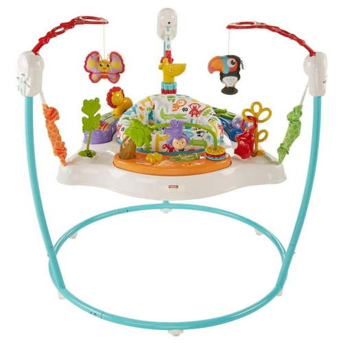 Fisher-Price Fun Bouncy Jumperoo: Light-Up, Colorful, Comfy Animal Activity Baby Bouncer Toy