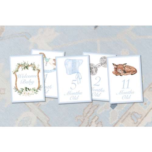 Boy Milestone Cards / Preppy Baby Month Photo Cards / Preppy Baby Boy Milestone Cards / Classic Milestone Cards / Boy Baby Shower Gift
