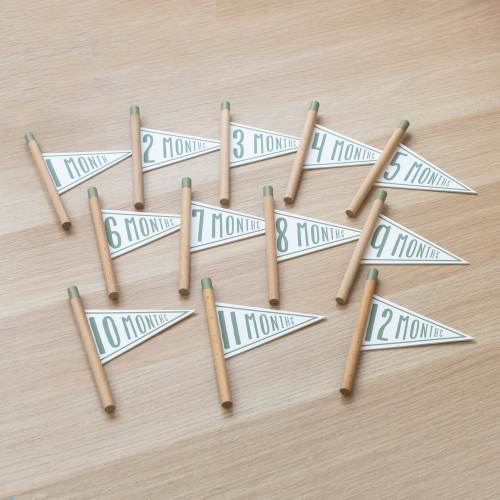 1-12 Months Mini Milestone Pennant Flags / Milestone Markers / Monthly Milestone Cards / Baby Milestone