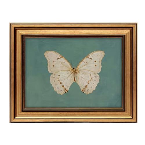 GHXYDSS Vintage Butterfly Wall Art, Gold Framed Butterfly Print, 9 x 11 In | Vintage Butterfly Art, canvas with damage-free hanging, Cottagecore , For Bedroom Bathroom And Butterfly Lovers.