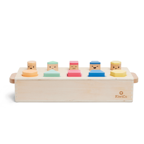 Pop-Up Shape Sorter Puzzle