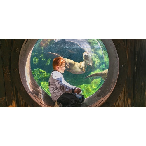 Fort Worth Zoo Membership