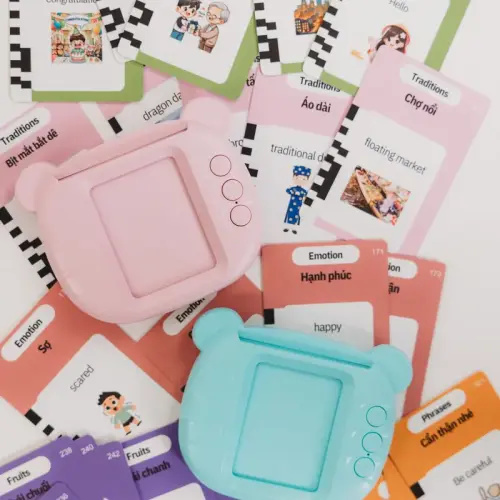 Southern Vietnamese English Bilingual Flashcard Reader - Interactive - TikTok Shop
