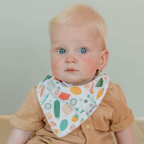 Baby Bandana Bibs - Veggies