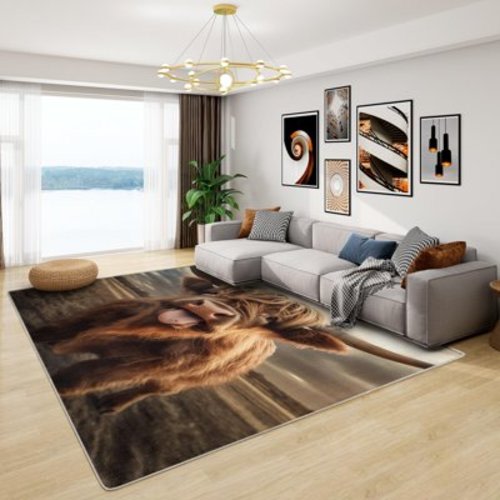Highland Cow Rug, Funny Farm Animal Rugs For Living Room Bedroom, Washable Non Slip Soft Large Carpet, Patterned Area Rugs & Home Decor