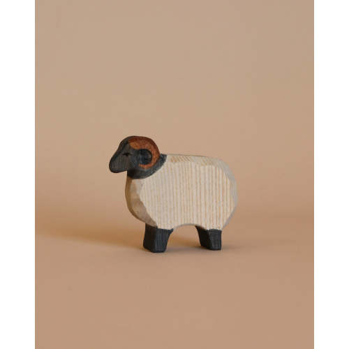 Ostheimer Moorland Ram