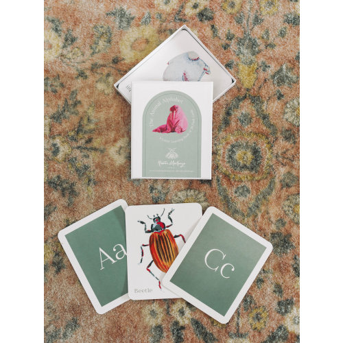 Animal Alphabet Flash Cards — Kristin MacKenzie Design