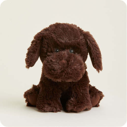 Chocolate Labrador Warmies | Microwavable Chocolate Labrador Warmies Stuffed Animal | Warmies USA