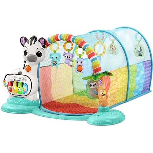 VTech 6-in-1 Tunnel of Fun (Frustration Free Packaging)