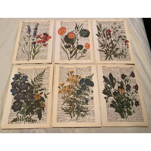 Wildflower Wall Prints for Nursery