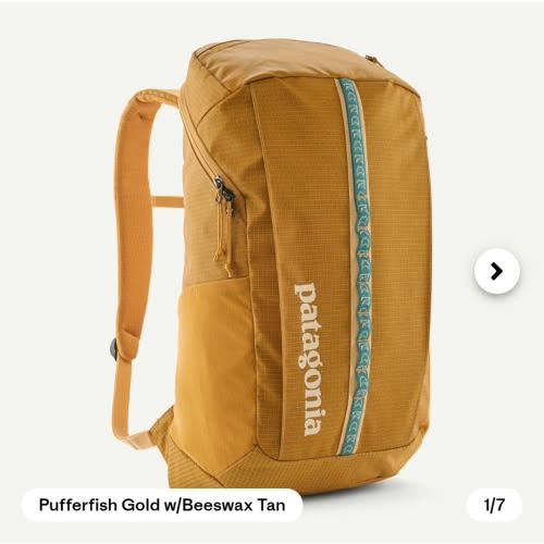 Patagonia Black Hole® Pack 25L