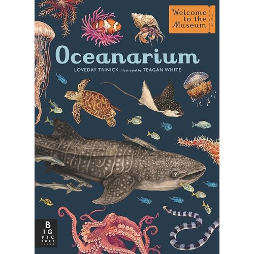Oceanarium: Welcome to the Museum Hardcover – April 5, 2022