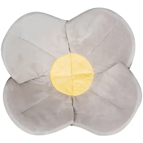 Blooming Bath Poppy