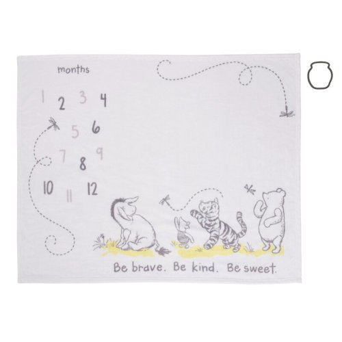 Disney NoJo Disney Classic Winnie The Pooh Baby Blanket & Reviews | Wayfair