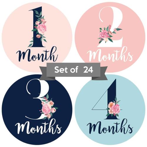 Baby Monthly Stickers - Set of 24 - Floral Baby Girl Milestone Stickers - Perfect for Newborn Girls - Month to Month Milestones -Pink Navy & Teal Floral Design (Set of 24)