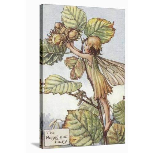 'The Hazelnut Fairy' Art Print - Vision Studio | Art.com
