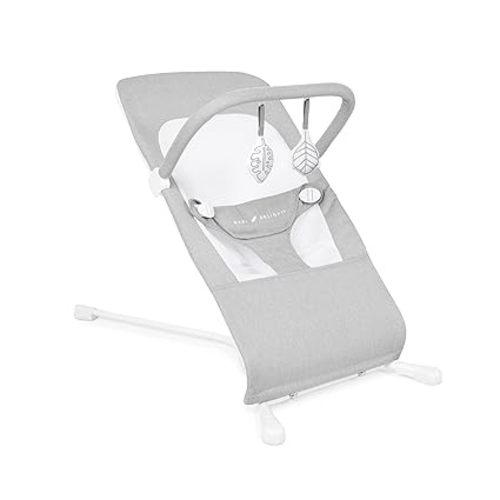 Baby Delight Highland Organic Baby Bouncer | Infant | 0 – 6 Months | 3-Position Recline | Organic Sage