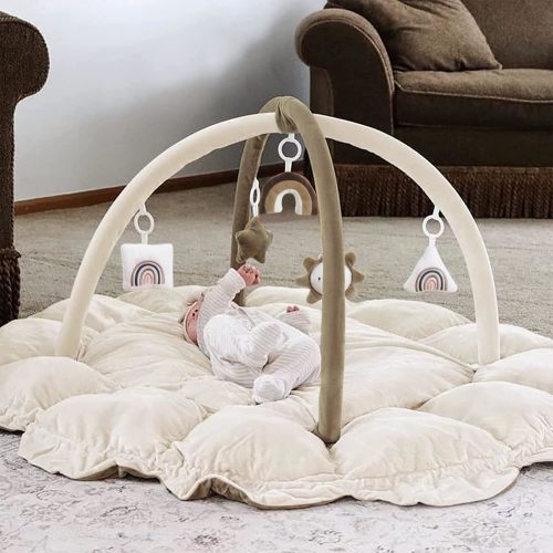 5-in-1 Thick & Plush Baby Play Gym, Baby Play Mats for Floor, Tummy Time Mat with 6 Toys, Cat Bed, Dog Bed, Convertible Stage-Based Developmental from Baby to Toddler, Ball Pit, Pet Cushion Cloudico