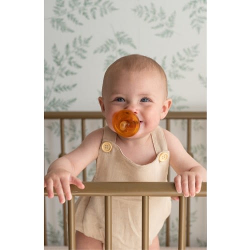 2-Pack Original Rounded Pacifiers