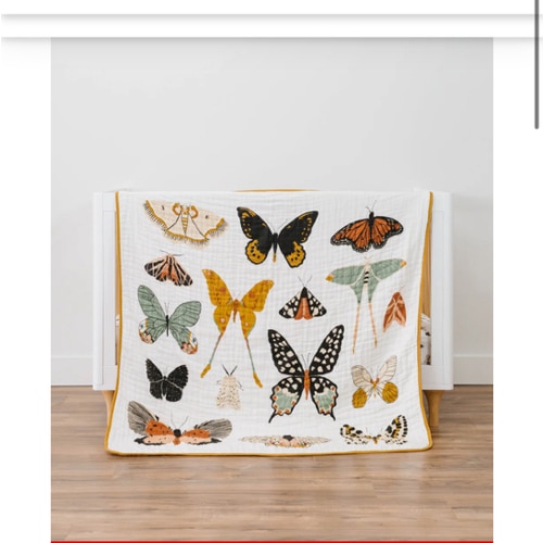 Butterfly Essential Bundle
