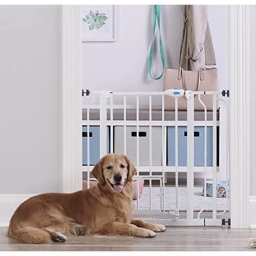 Carlson Extra Wide Walk Through Pet Gate with Small Pet Door, Includes 4-Inch Extension Kit, Pressure Mount Kit and Wall Mount Kit