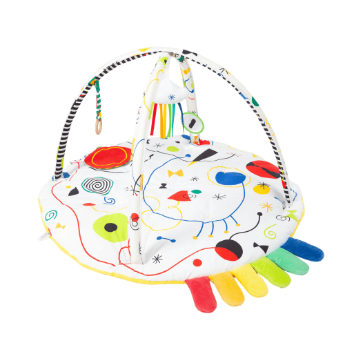 Little Artist Play Gym