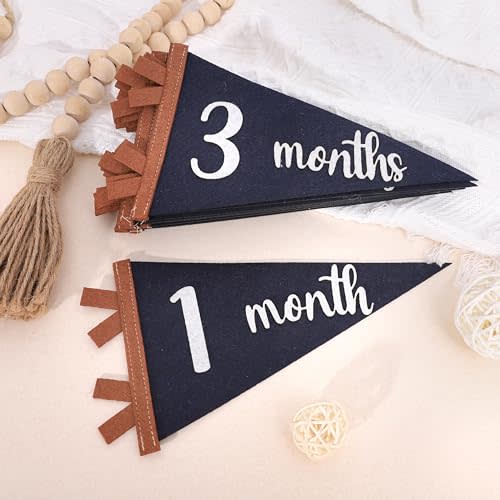 12 PCS Baby Monthly Milestone Felt Pennant - Navy Blue 1 to 12 Months Milestone Photo Props, Newborn Growth Record Triangle Banner, First Year Pennant Milestone Signs, Boys Monthly Pennant Photo Props