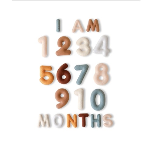 Milestone Felt Numbers In Neutral