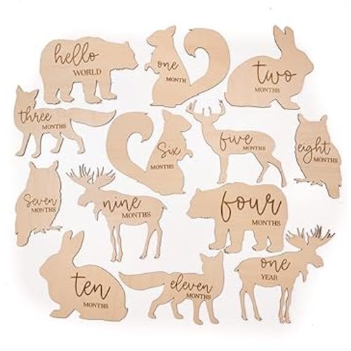Baby Monthly Milestone, Woodland Animals for Baby Photos, Wooden Baby Milestone Signs, Monthly Milestone Wood Discs, Baby Milestone Discs (S009)