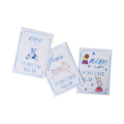 Baby Boy Monthly Milestone Card Set