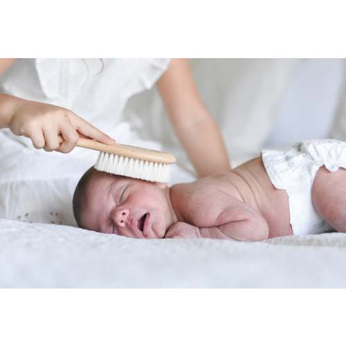 Wooden Baby Goat Hair Brush