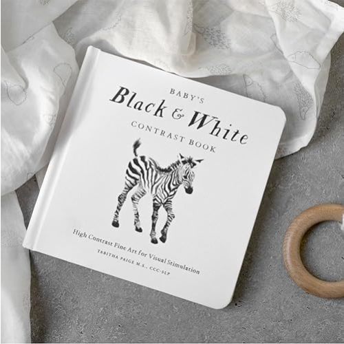 Baby's Black and White Contrast Book: High-Contrast Art for Visual Stimulation at Tummy Time (Our Little Adventures Series) Board book – Picture Book, August 1, 2023