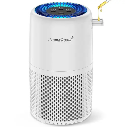 Air Purifier for Home Bedroom, AromaRoom H13 HEPA Air Filter For Smoke Pollen Dander Hair Smell Air Cleaner, 3-in-1 Filter with Sleep Mode, Quiet Air Cleaner For Pets, Home, Baby Room (White, AP103)