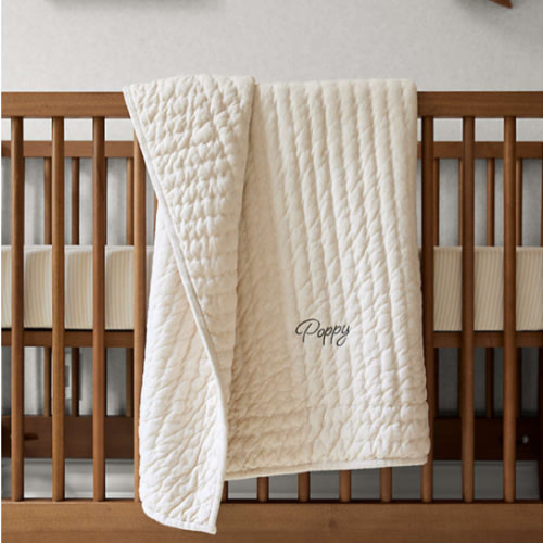 Baby's First Natural Organic Cotton Jersey Baby Crib Quilt
