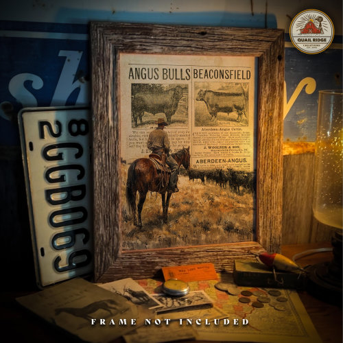 Vintage Black Angus Cattle Poster Art Print 11X14 Unframed Cattle Breeder Rancher Rodeo Cowboy Western Cabin Wall Decor Gift for Rancher