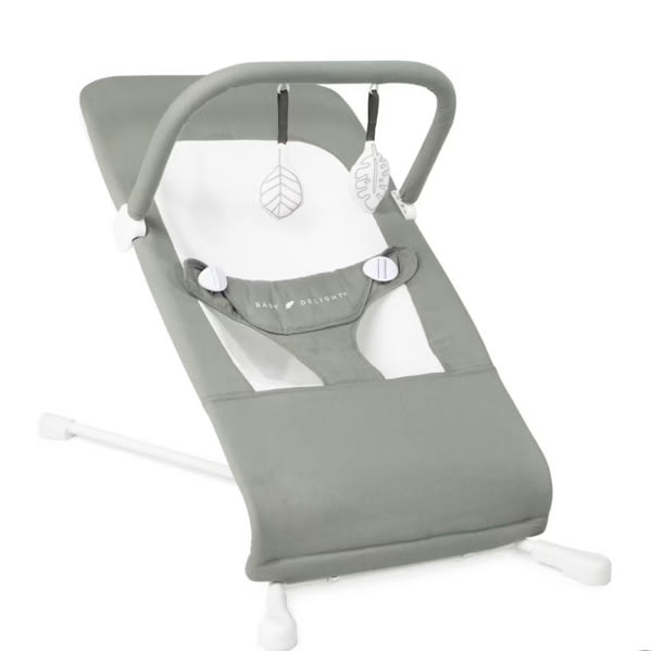 Baby Delight Highland Baby Bouncer | Infant | 0 – 6 Months | 3-Position Recline