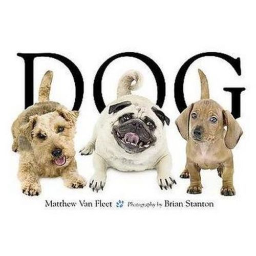 Dog By Fleet Matthew Van (board Book)