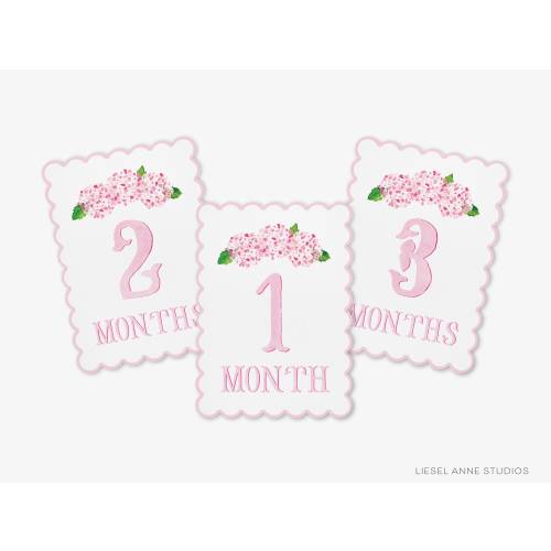 Pink Hydrangea Scalloped Monthly Milestone Cards | By the Month Baby Photos | Newborn Milestones | Preppy Baby Gift | Watercolor Memory Book
