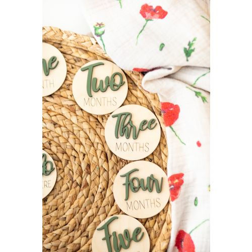 Monthly Milestone Discs for Baby Photos Wooden Monthly Milestone Markers Monthly Signs for Baby 3D Letter Milestone Cards Baby Shower Gift