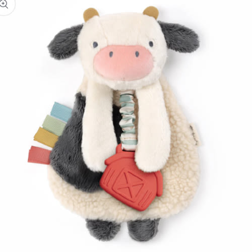 Itzy Lovey™ Plush and Teether Toy