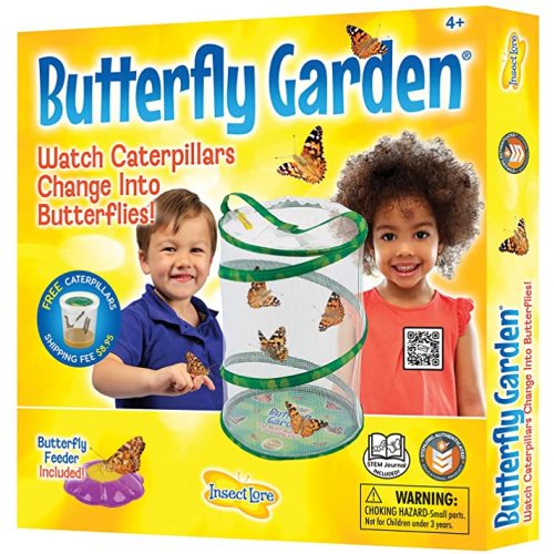 Insect Lore - Butterfly Growing Kit - With Voucher to Redeem Caterpillars Later