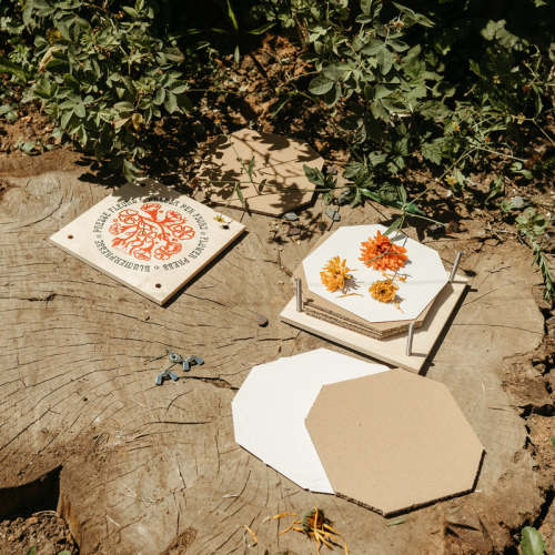 Natural Wooden Flower Press – MamaOwl