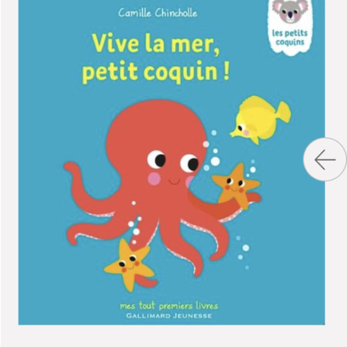 Livres illustrés Vive la mer, petit coquin !, Mes tout premiers livres | Gallimard Jeunesse